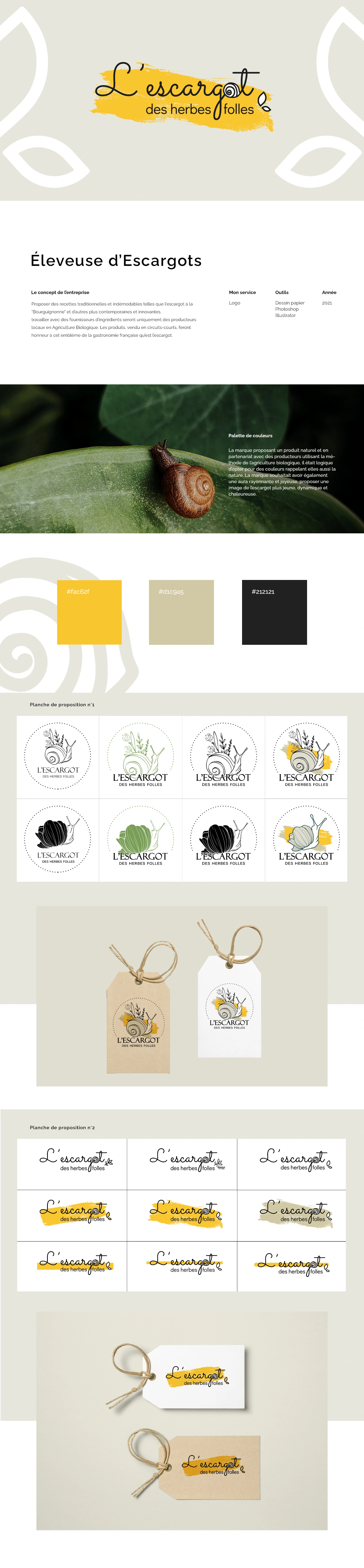 presentation du contexte du projet, de la marque, du style guide imaginé (police, couleur), présentation des propositions de logos, mockup du logo final décliné sur différents supports.